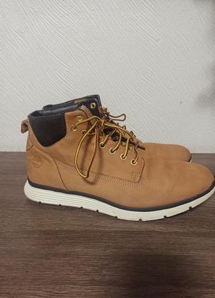 Чоловічі черевики timberland killington