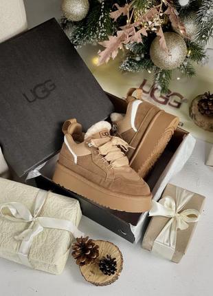 Угги уггі угг ugg lowmell sheakers