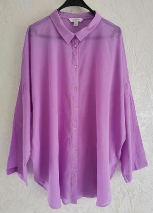 Нежная, легкая, батальная удлиненная оверсайз блуза рубашка из хлопка