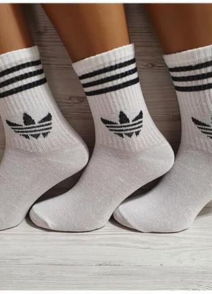 6 пар шкарпетки жіночі "adidas" теніс. 36-40р. білі. високі, демісезонні,літні