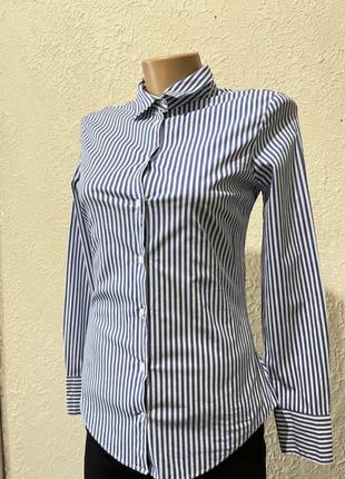 Приталена сорочка в смужку/біла сорочка в синю смужку/біло-синя сорочка жіноча2 фото