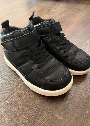 Хайтопы от zara 24р