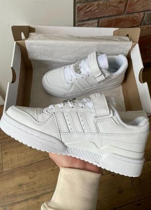 Жіночі кросівки Adidas Coast Star Shoes Cloud adventure Ash Grey Cloud adventure