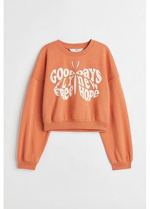 Кофта свитшот h&amp;m на девочку 146см