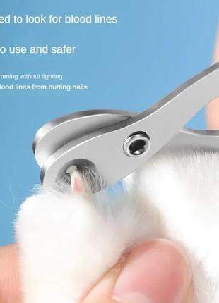 Ножиці для манікюру тваринам2 фото