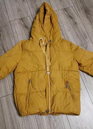 Курточка🍁