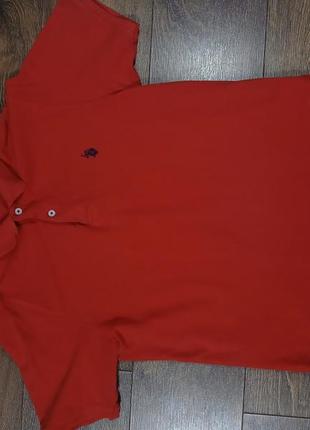 Поло от u.s.polo