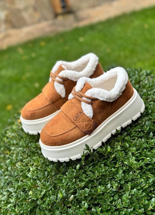 Ботинки женские на меху ❤️‍🔥