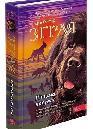 Книга зграя. книга 3. пітьма насуває
