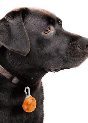 Led-підвіска/ліхтарик безпеки на нашийник для собак friend hy-0501 orange5 фото