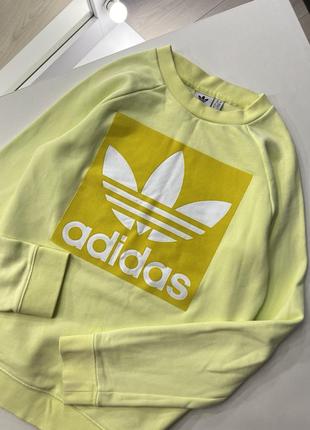 Adidas eqt свитшот