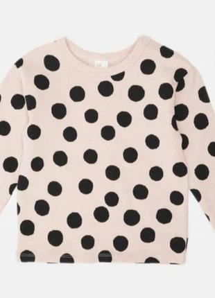 Свитшот детский h&m 74 см. 6-9 мес, свитшот на девочку