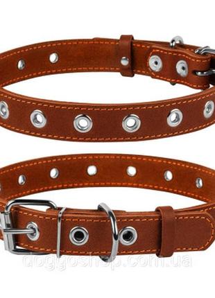 Ошейник для животных collar безразмерный 25 мм 60 см (коричневый) (02446)>>> задайте вопрос по товару в чате