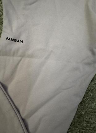 Спортивный костюм pangaia