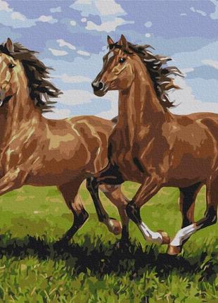 Преміум картина за номерами brushme 40x50см "скакуни на пробіжці" pbs51966