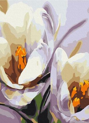Преміум картина за номерами brushme 40x50см "крокуси" pbs5828