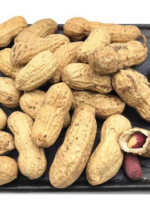 Арахіс в шкірці смажений