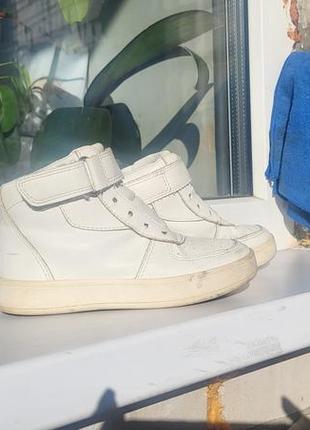 Высокие кроссовки nik &amp; nik