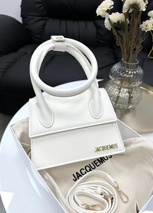 Сумка jacquemus premium
