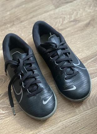 Копочки сороконожки