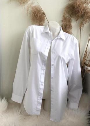 Біла базова сорочка блуза рубашка жіноча