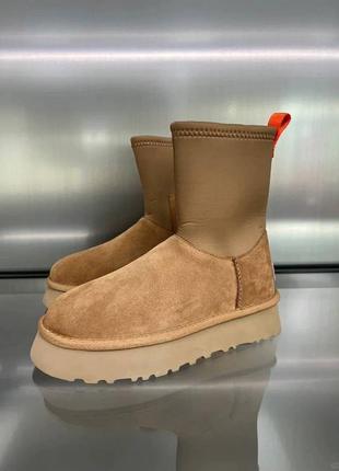 Высокие угги 2