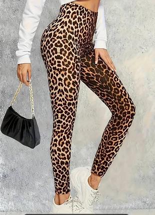 Лосины 🐆
