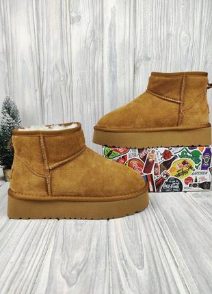 Угги ugg
