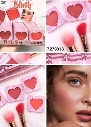 S.f.r. color blush рум'яна для обличчя