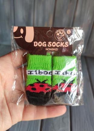 Шкарпетки для собак «сонечко», розмір s 4 шт.5 фото