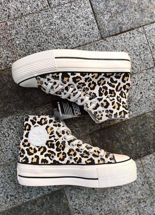 Кеди converse leopard8 фото