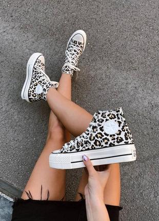 Кеди converse leopard2 фото