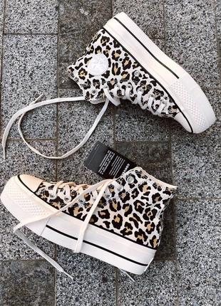 Кеди converse leopard5 фото