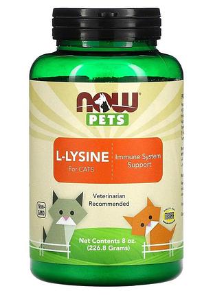 L-лизин для кошек, l-lysine for cats, now foods, pets, 226,8 г