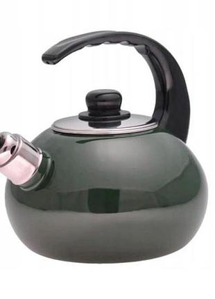 Чайник эмалированный kamille - 2,5л зеленый