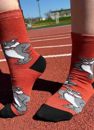 Шкарпетки жіночі високі 1 пара "собака спайк" 36-41 р|швидка доставка|