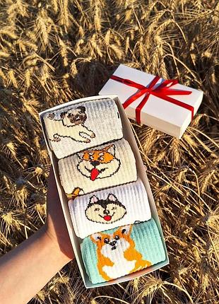 Бокс жіночих високих якісних шкарпеток "собачки" 36-41 на 4 пари у подарунковій коробці|швидка доставка|