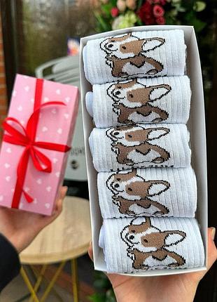 Набір жіночих шкарпеток 36-41 5 пар у подарунковій коробці|швидка доставка|