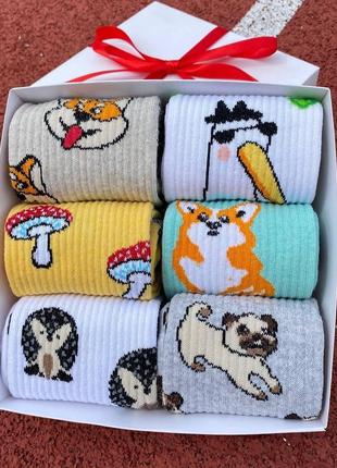 Бокс жіночих високих шкарпеток 36-41 на 6 пар у подарунковій коробці|швидка доставка|