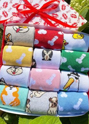 Бокс жіночих високих шкарпеток 36-41 на 12 пар у подарунковій коробці|швидка доставка|