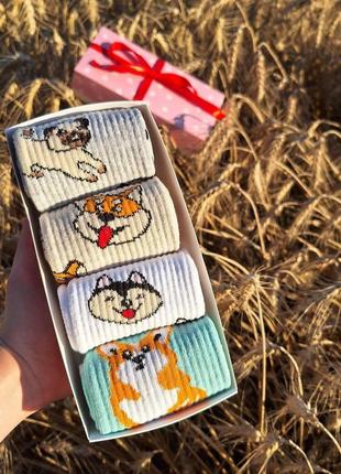 Бокс жіночих високих якісних шкарпеток "собачки" 36-41 на 4 пари у подарунковій коробці|швидка доставка|