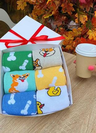 Бокс жіночих високих шкарпеток 36-41 на 6 пар у подарунковій коробці|швидка доставка|