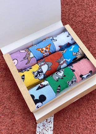 Бокс жіночих шкарпеток 36-41 на 9 пар з мультяшним малюнком у подарунковій коробці|швидка доставка|