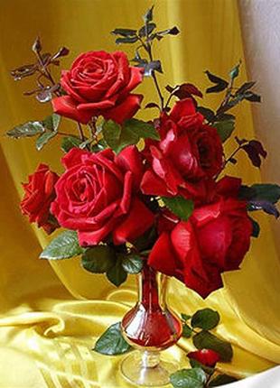 Алмазна картина оксамитово-червоні троянди strateg 30х40 см heg86876