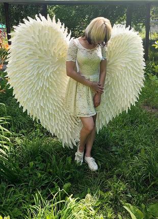 Ростовые интерьерные цветы/фотозона/декор