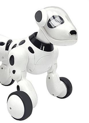 Робот-собака на радиоуправлении на аккумуляторе 30х21,5х19 см kailantoys бело-черный (2000002175100)2 фото