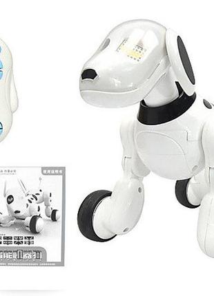 Робот-собака на радиоуправлении на аккумуляторе 30х21,5х19 см kailantoys бело-черный (2000002175100)3 фото