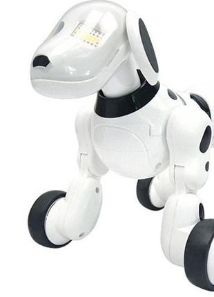 Робот-собака на радиоуправлении на аккумуляторе 30х21,5х19 см kailantoys бело-черный (2000002175100)6 фото