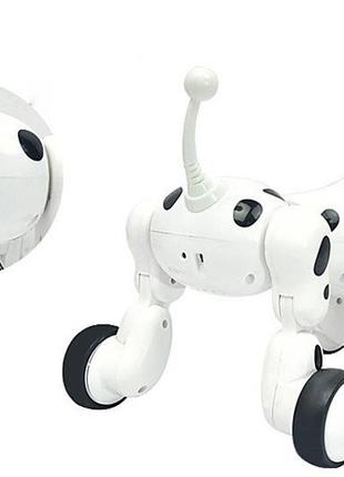 Робот-собака на радиоуправлении на аккумуляторе 30х21,5х19 см kailantoys бело-черный (2000002175100)5 фото