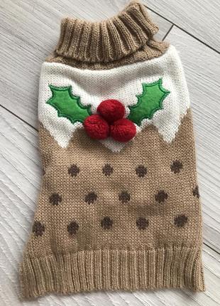 Одежда для домашних животных